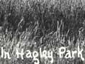 Sheep grazing in Hagley Park, 1910