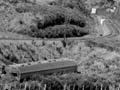 Silver Fern railcar crash
