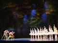 <em>Swan lake</em>