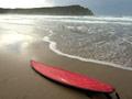 Flax surfboard