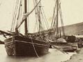 Heathcote Harbour