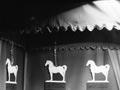 Window display