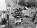 Man with home-grown cabbage