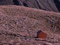 Hut in the Tararua ranges