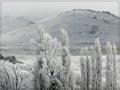 Winter in Ophir