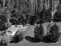 Dunedin expands, 1951