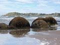 Moeraki boulders