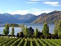 Rippon Vineyard, Wānaka