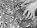 Canning vegetables