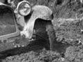 Stuck in the mud