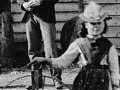 Velocipede arrives