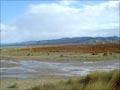 Pōrangahau estuary