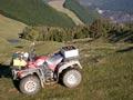 Farm forestry
