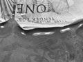 Floating the dollar