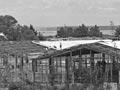 Abandoned cotton mill