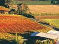 Te Awa Winery, Gimblett Gravels