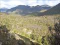 Kaweka Forest Park, 2007