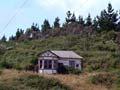 Te Hāroto, 2009