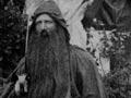 Druids