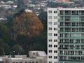 Apartments, Tauranga