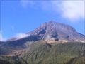 Montane zone