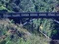 The ‘bridge to somewhere’