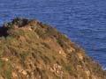 Rangitatau pā site