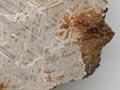 View Hill meteorite