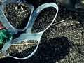 Plastic pollution 
