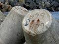 Artificial rocks