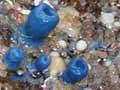 Rock sponge 