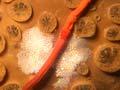 Peanut worm on a golf-ball sponge