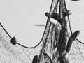 Gill-net fishing