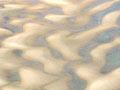 Accretion, Wainui Inlet 