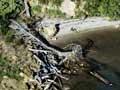 Collapsed cliff