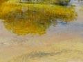 Whakarewarewa: living in a thermal area