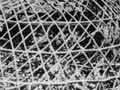 Measuring a rock lobster pot