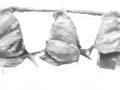 Fishing group, Whangaroa