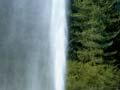 Lady Knox geyser erupting 