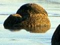 Moeraki Boulders