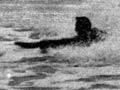 A surfing demonstration 