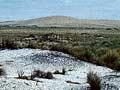Shell midden