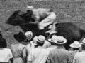 Horse races