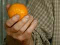 Kerikeri’s citrus fruit industry