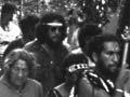 Waitangi protest