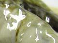 Pāua roe