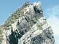 Greenland Group 