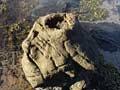 Fossil tree stump 