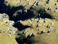 Schist tors
