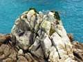 Coastal granite
